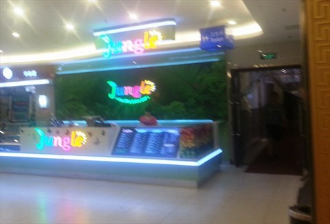 Juice Plus Diet Plan