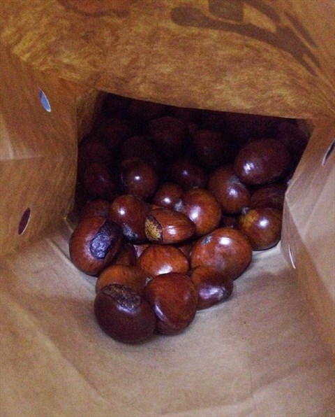 好好栗子店