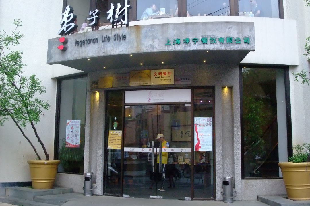 枣子树
