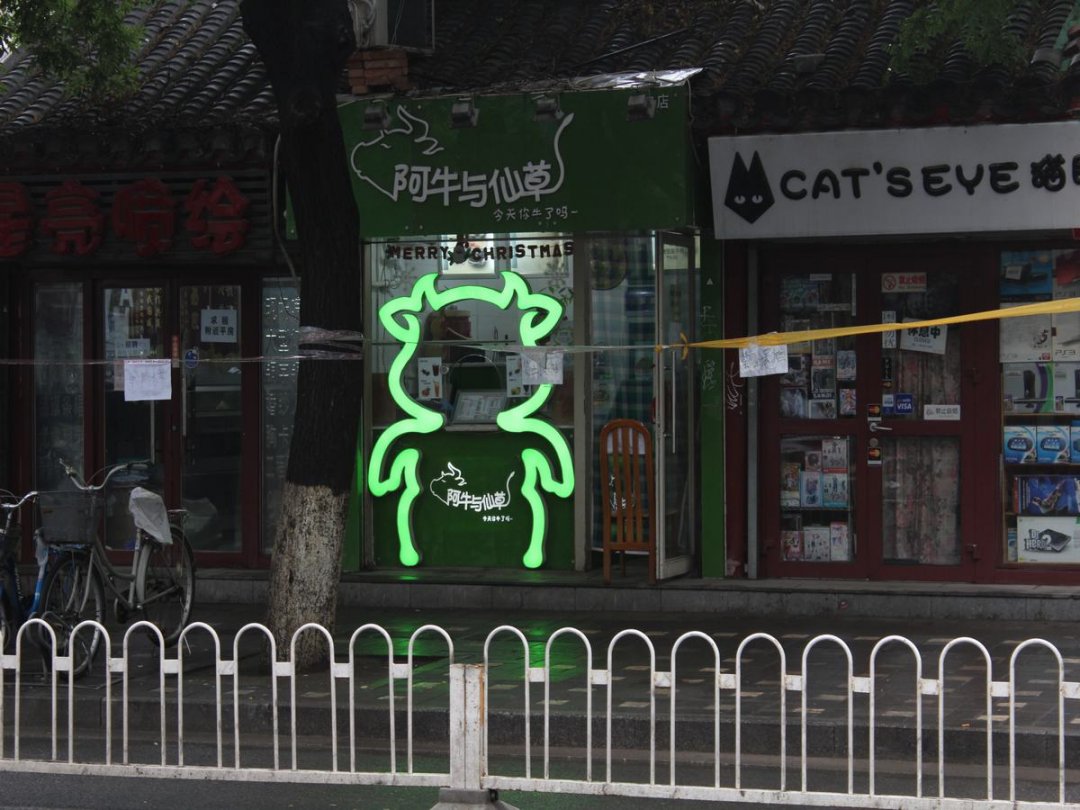 阿牛与仙草