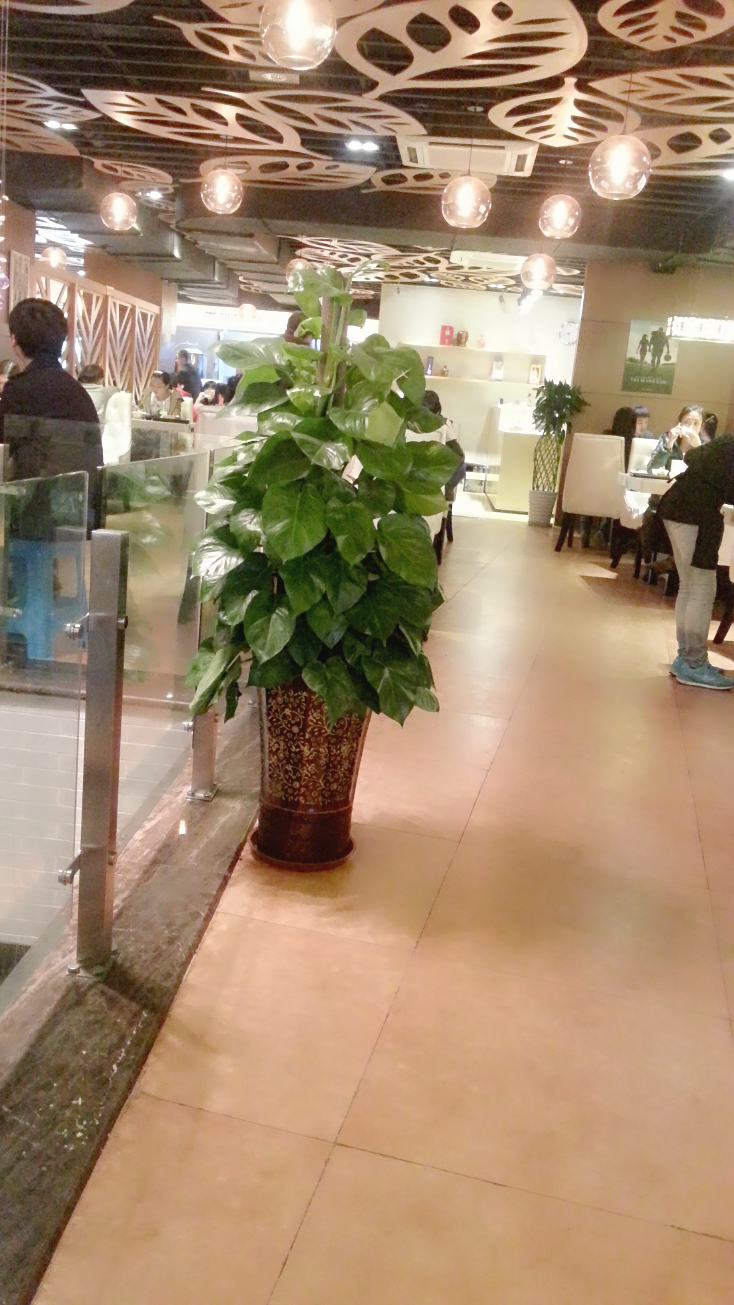 大韩自助美食汇