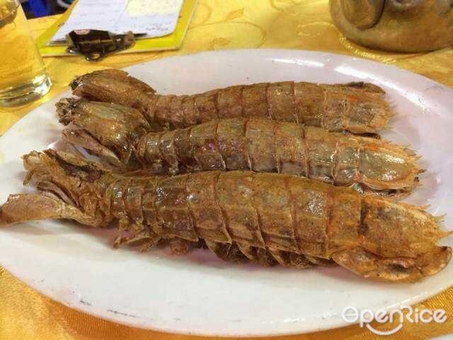 肥姨赖尿虾