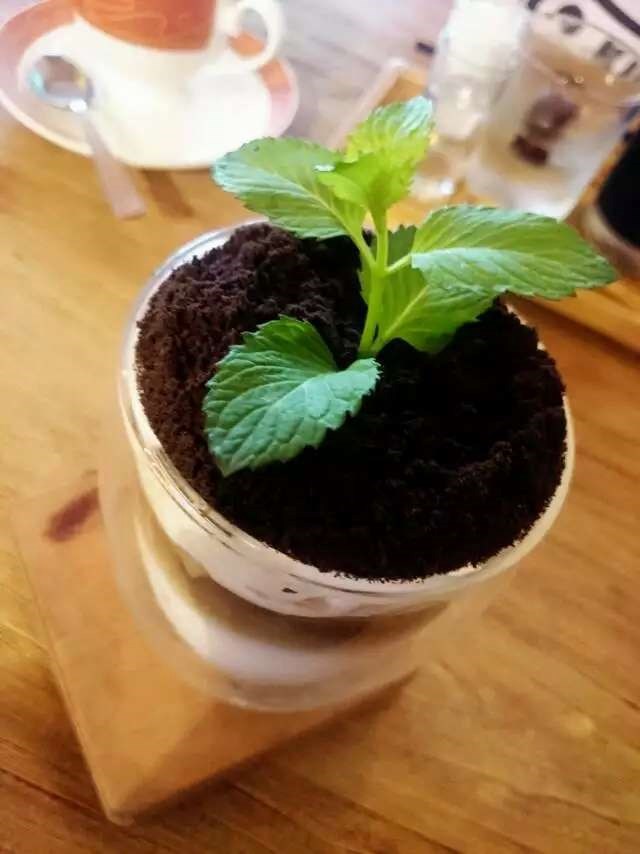 妈妈MIA餐厅