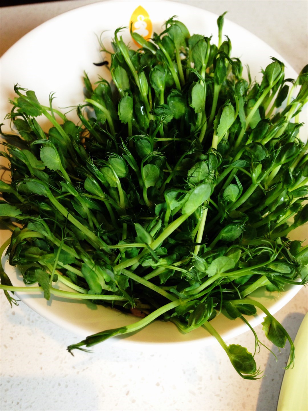 一叶一世界藏茶素食火锅