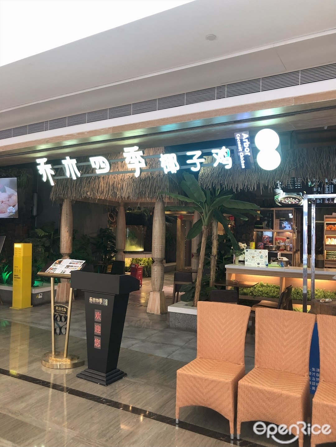 乔木四季椰子鸡 (KKONE店)