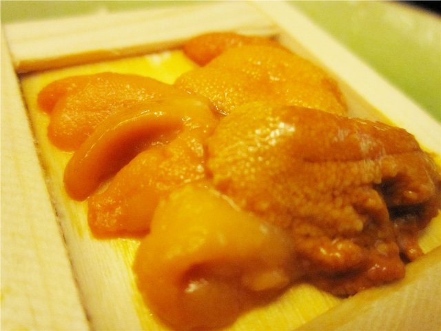 海胆