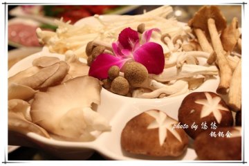菌菇