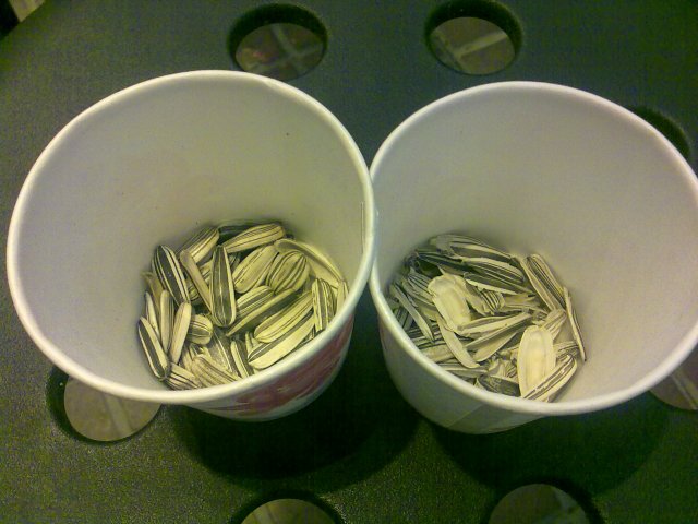 等待中的免费瓜子