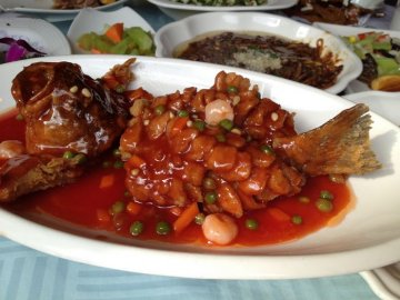 松鼠桂鱼