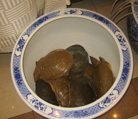原材料