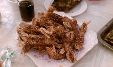 濑尿虾