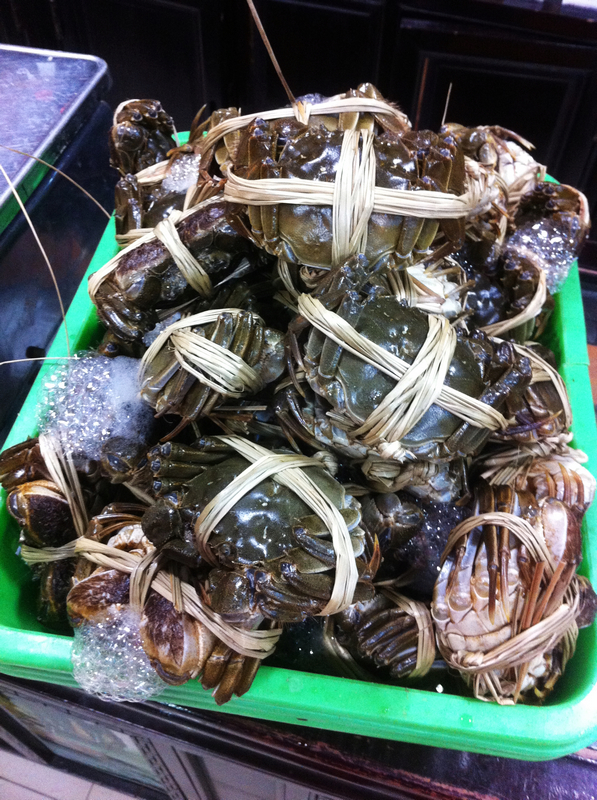 好多~好多~好新鲜既“大餐”啊