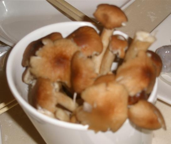 正