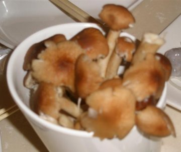 正