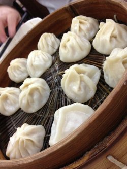 鲜肉小笼