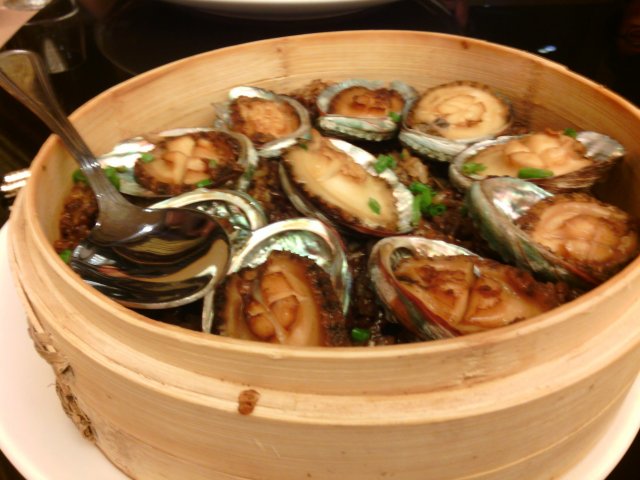 小鲍鱼
