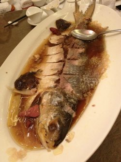 清蒸鲥鱼