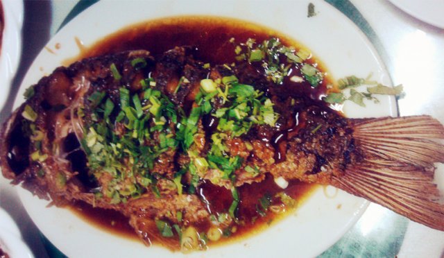 红烧鲤鱼