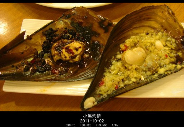 带子