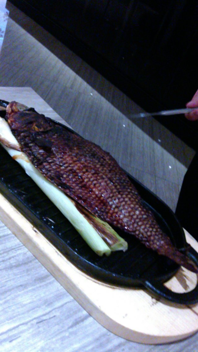 葱烤鲥鱼