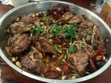 兔头