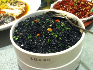乌镇的回忆
