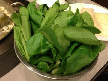 菠菜