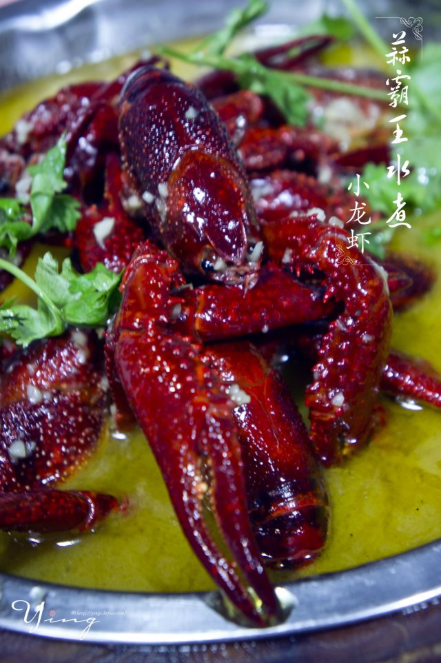 蒜霸王水煮龙虾