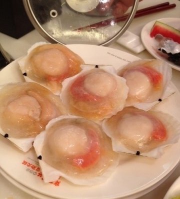 扇贝