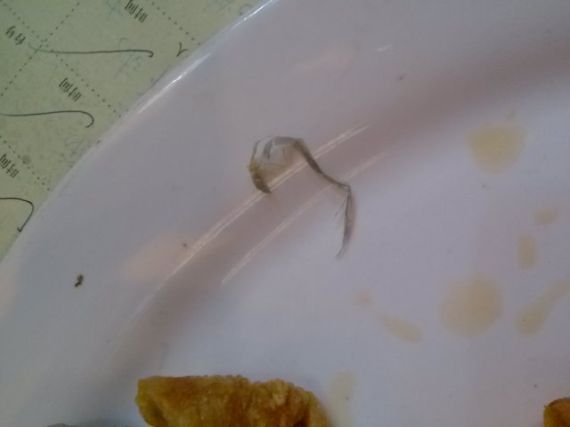 面筋吃出来嘅胶带