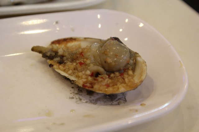 象拔蚌