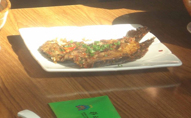 鲈鱼