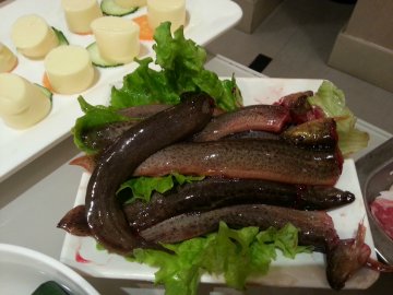 泥鳅
