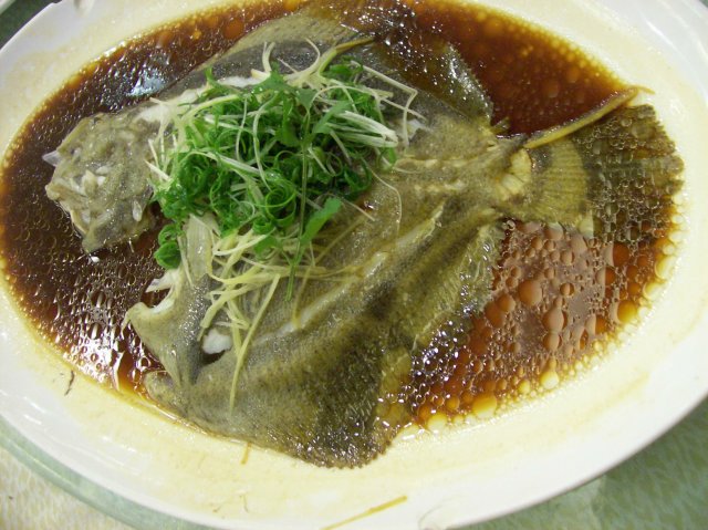 多宝鱼