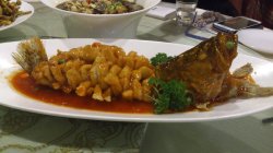 松鼠桂鱼