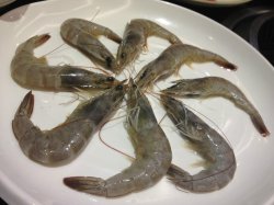 烤虾