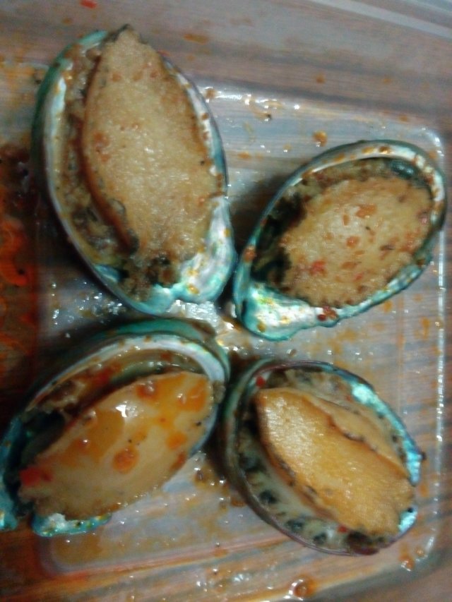鲍鱼