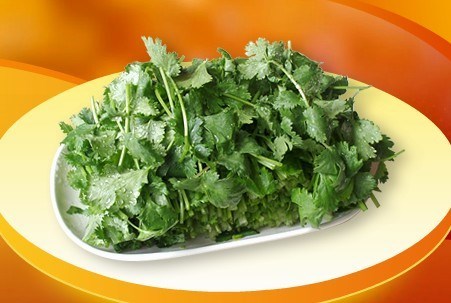 香菜 - 香菜 0                         囧  