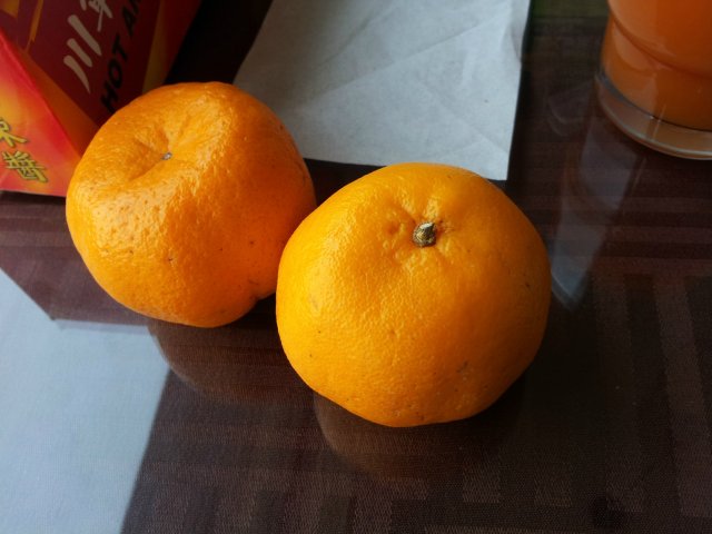 柑橘