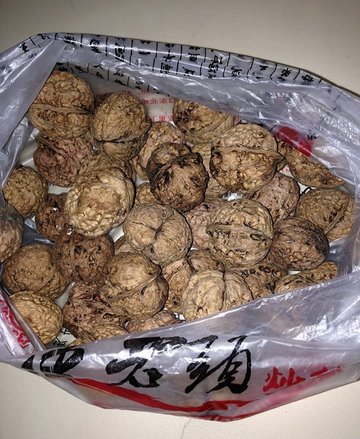 核桃