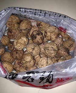 核桃