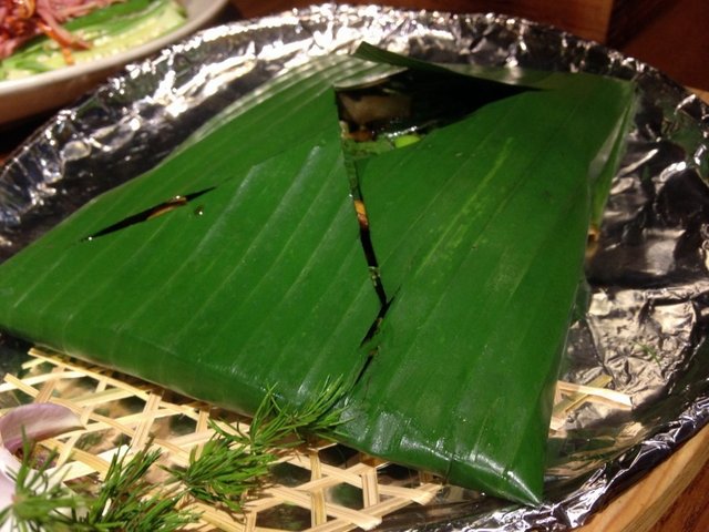 菌临天下