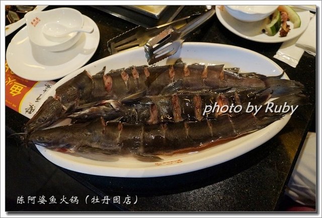 梭边鱼