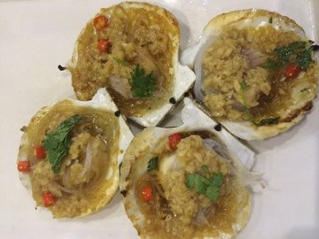 扇贝