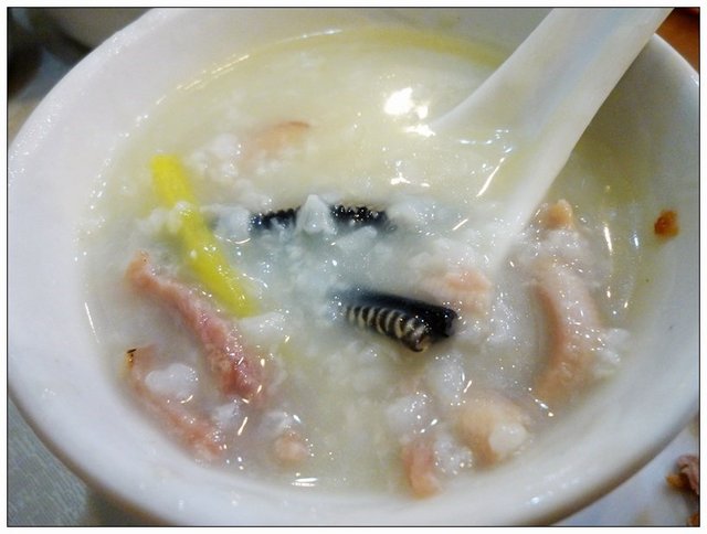 水蛇粥