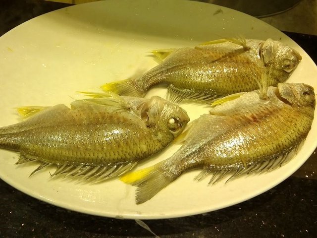 冻黄立鲳