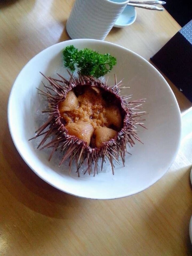 海胆刺身