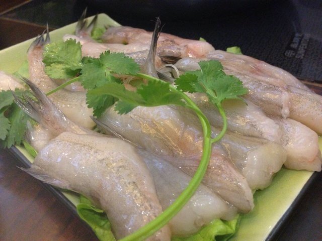马鲛鱼