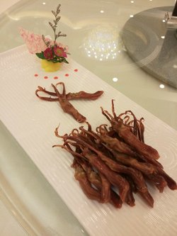 鸭舌