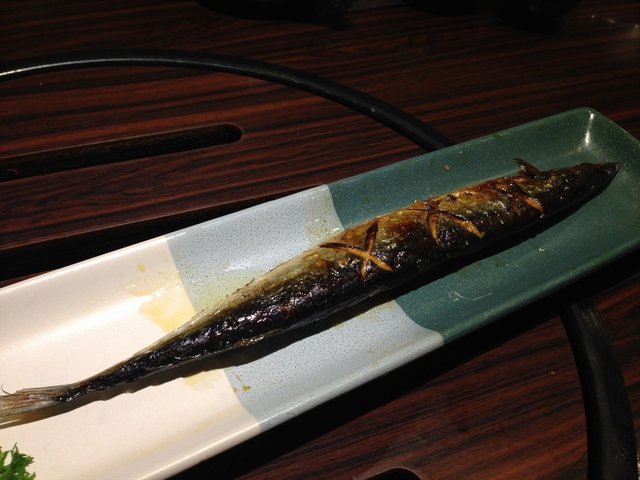 秋刀鱼